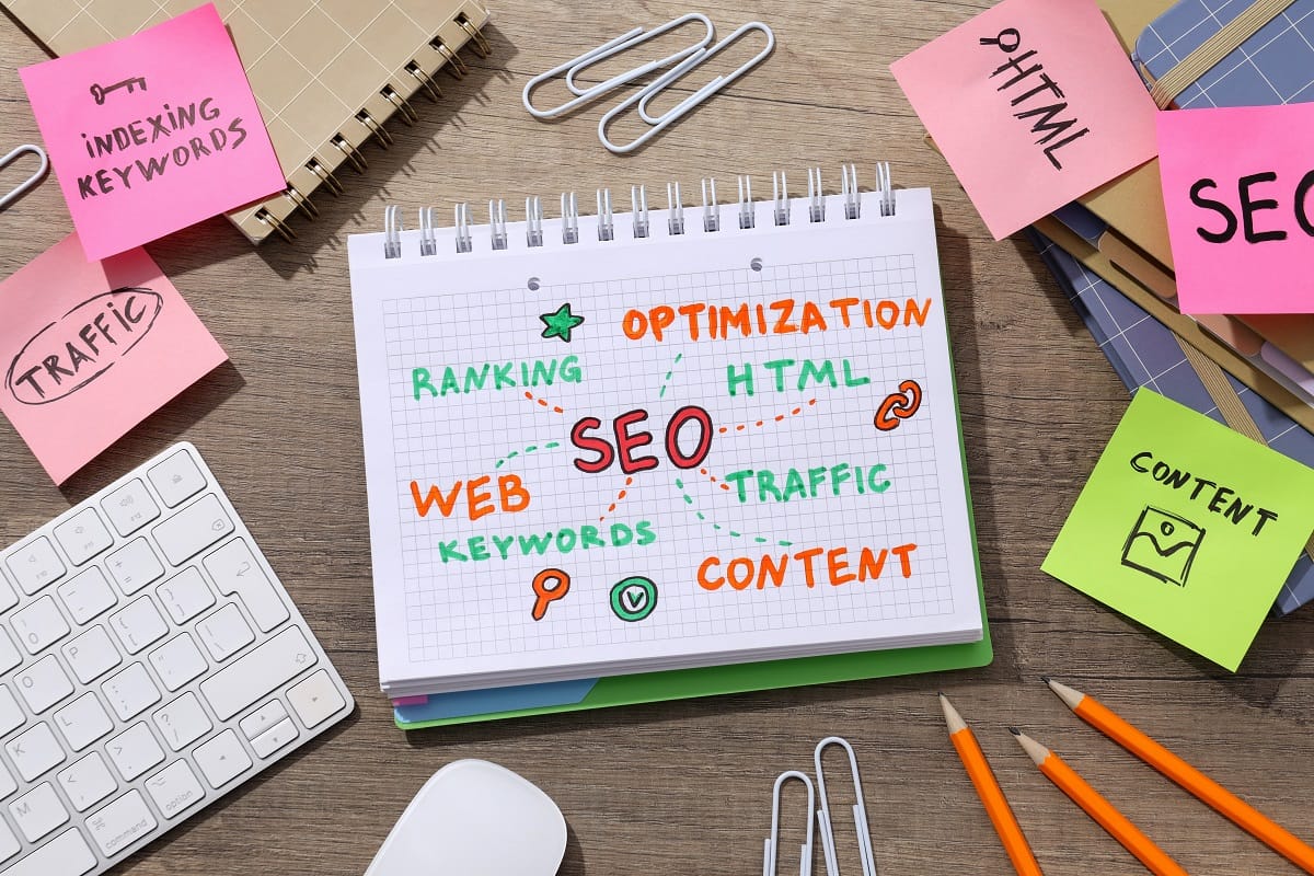 SEO Optimization is the Backbone